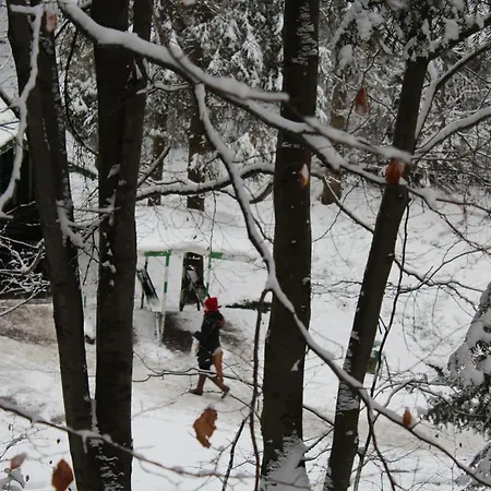 Hotel Zolotoie Runo Skhidnytsia