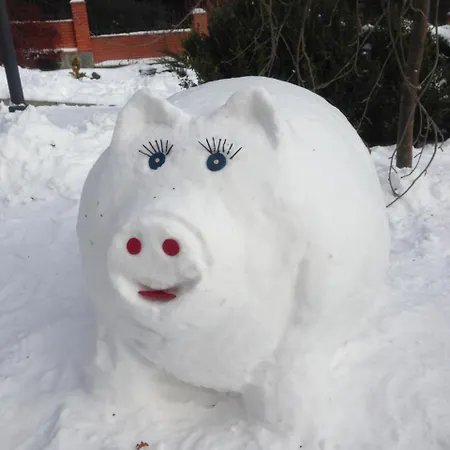 酒店 Zolotoie Runo *