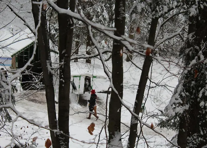 Hotel Zolotoie Runo Skhidnytsia